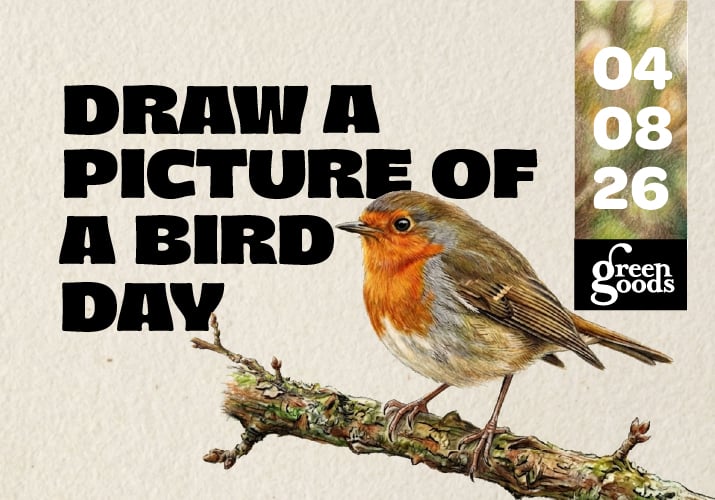 Participate in Our Connect The Dots Activity For $5 OFF!