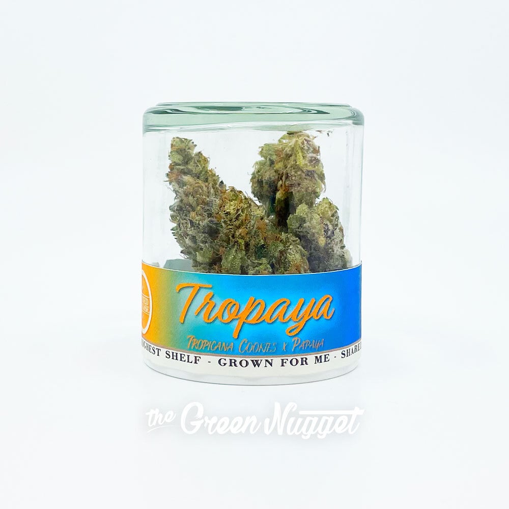 Tropaya