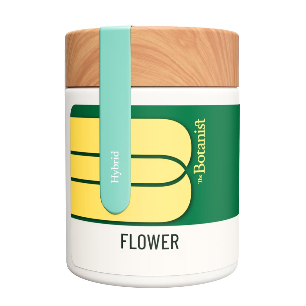 Shop Red Carpet Runtz | Buffalo Dreams Dispensary Buffalo, NY