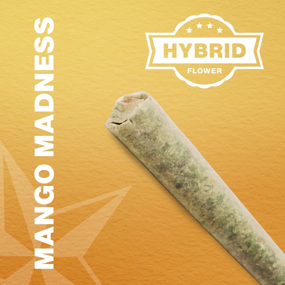 Mango Madness [1g]