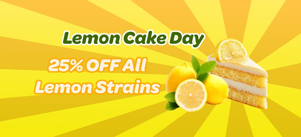 25% OFF Lemon Strains special