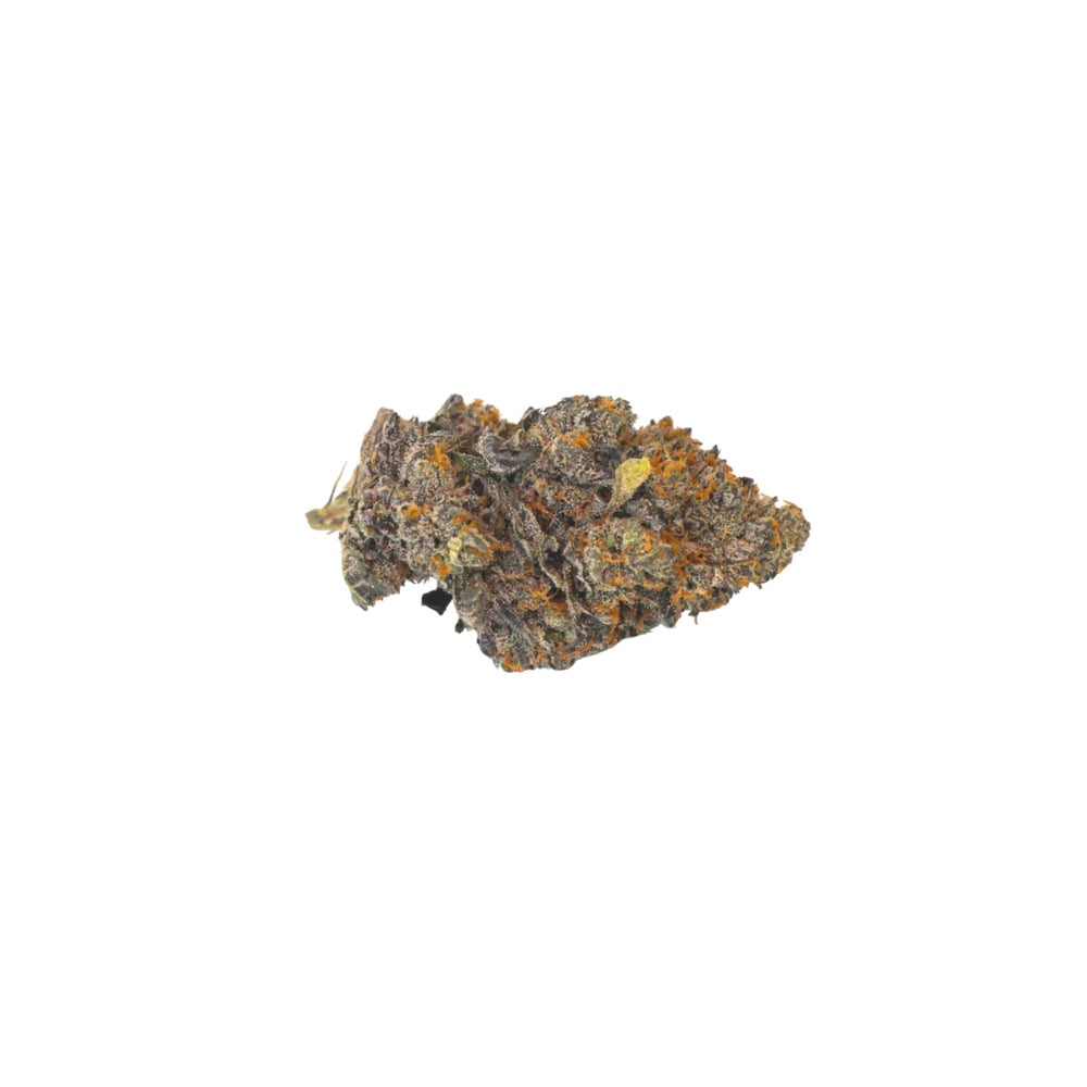 Gelato 41 | Flower