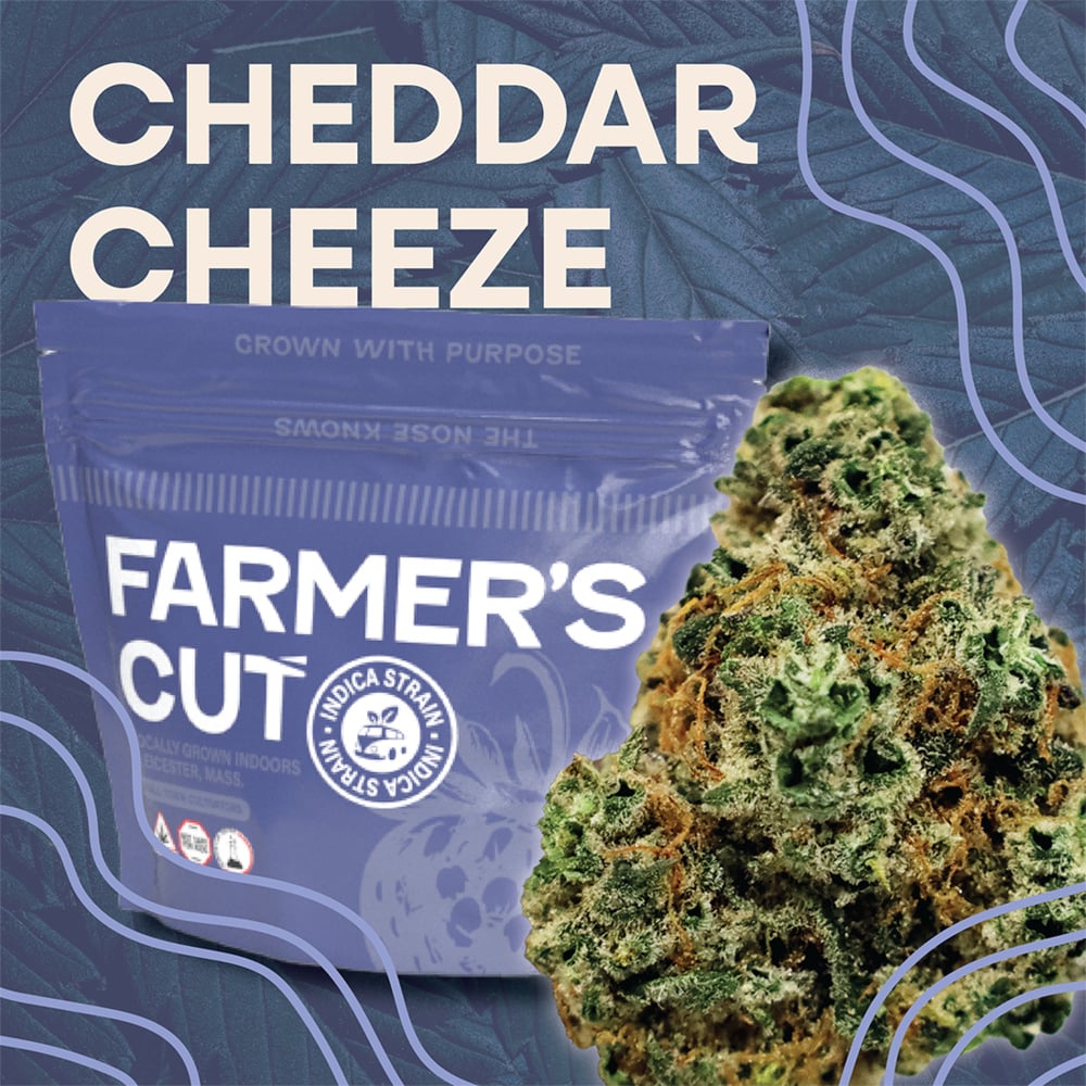 Farmer's Cut - Cheddar Cheeze Flower