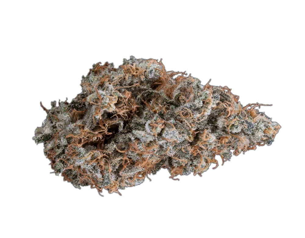 Bubble Gum Bubble Gum