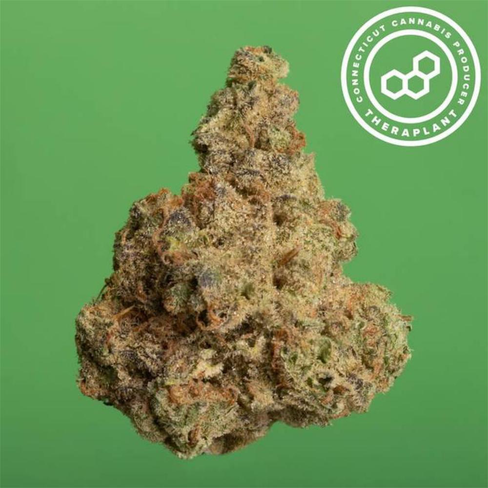 Shop Mac V2 T25 smalls 21041 (Theraplant) | Fine Fettle