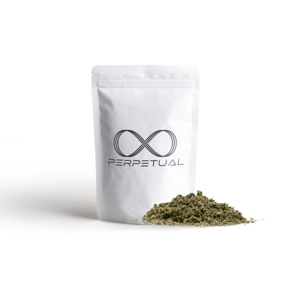 Perpetual - Gary Payton #2 Ready to Roll Perpetual - Gary Payton #2 Ready to Roll