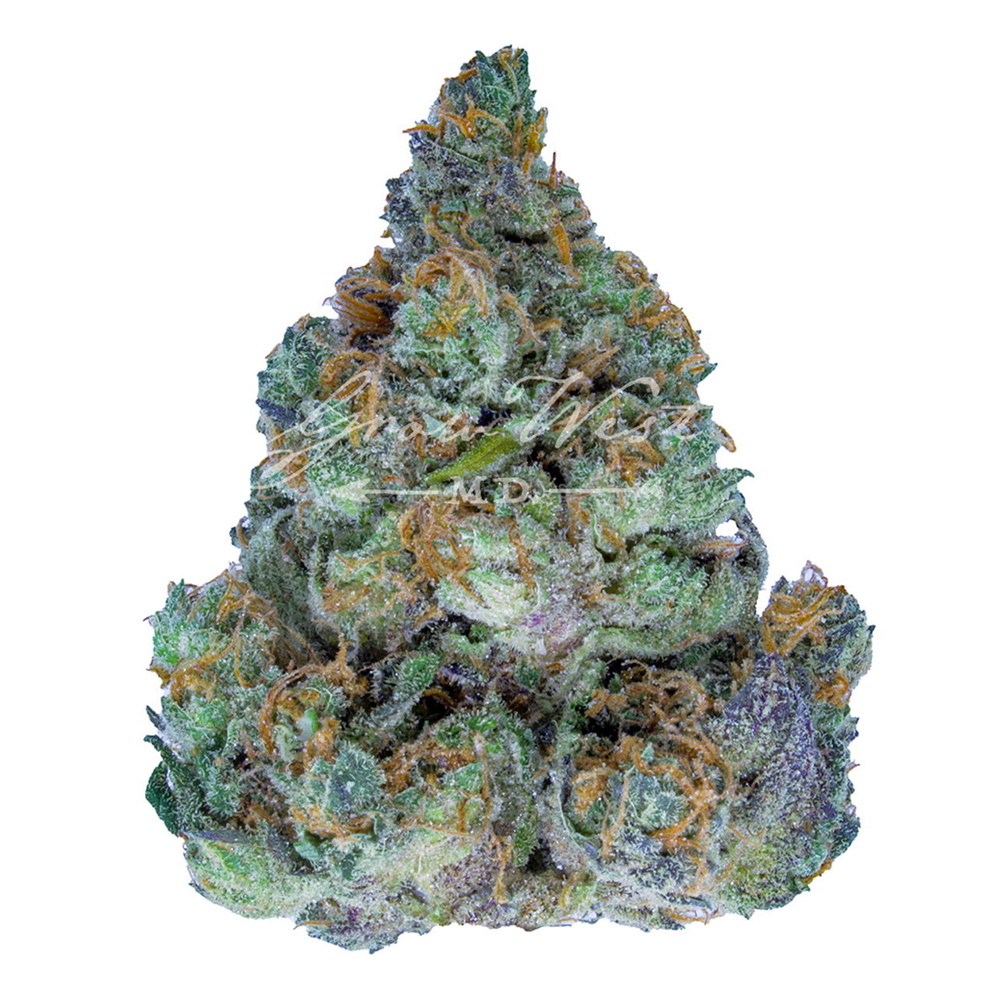 Cherry Chocolate Widow