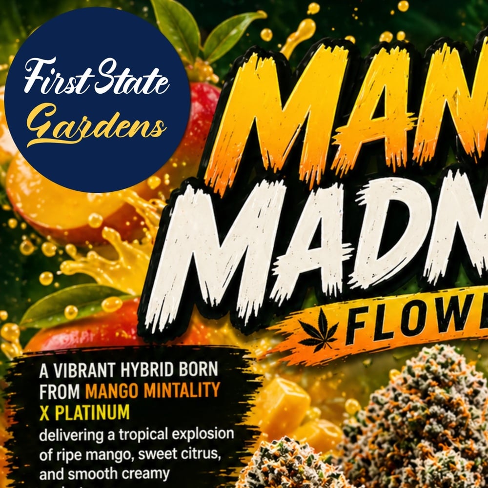 Mango Madness