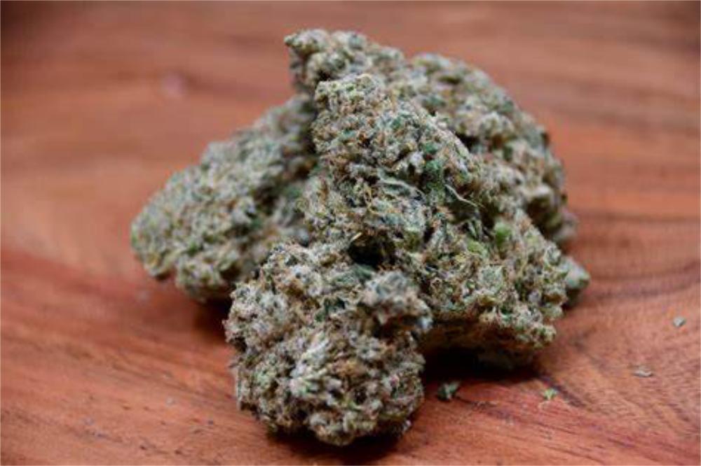 Shop Jokerz Wild | Prosper Cannabis Company - REC Dispensary