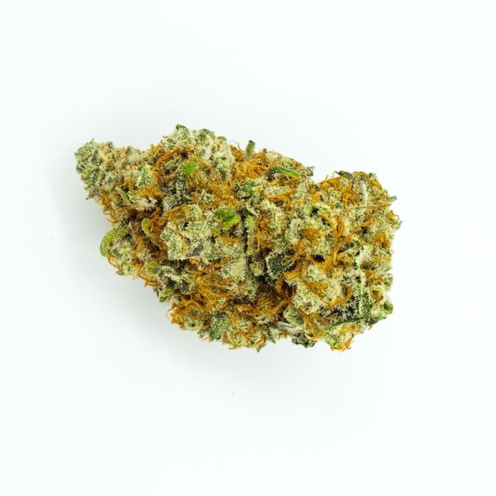 Budhaus - Tropicana Punch Flower