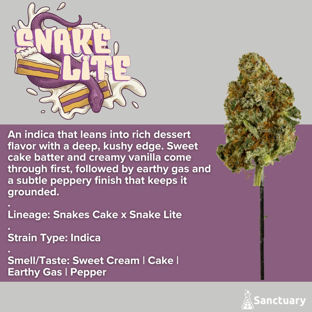 Sanctuary - Snake Lite C Flower
