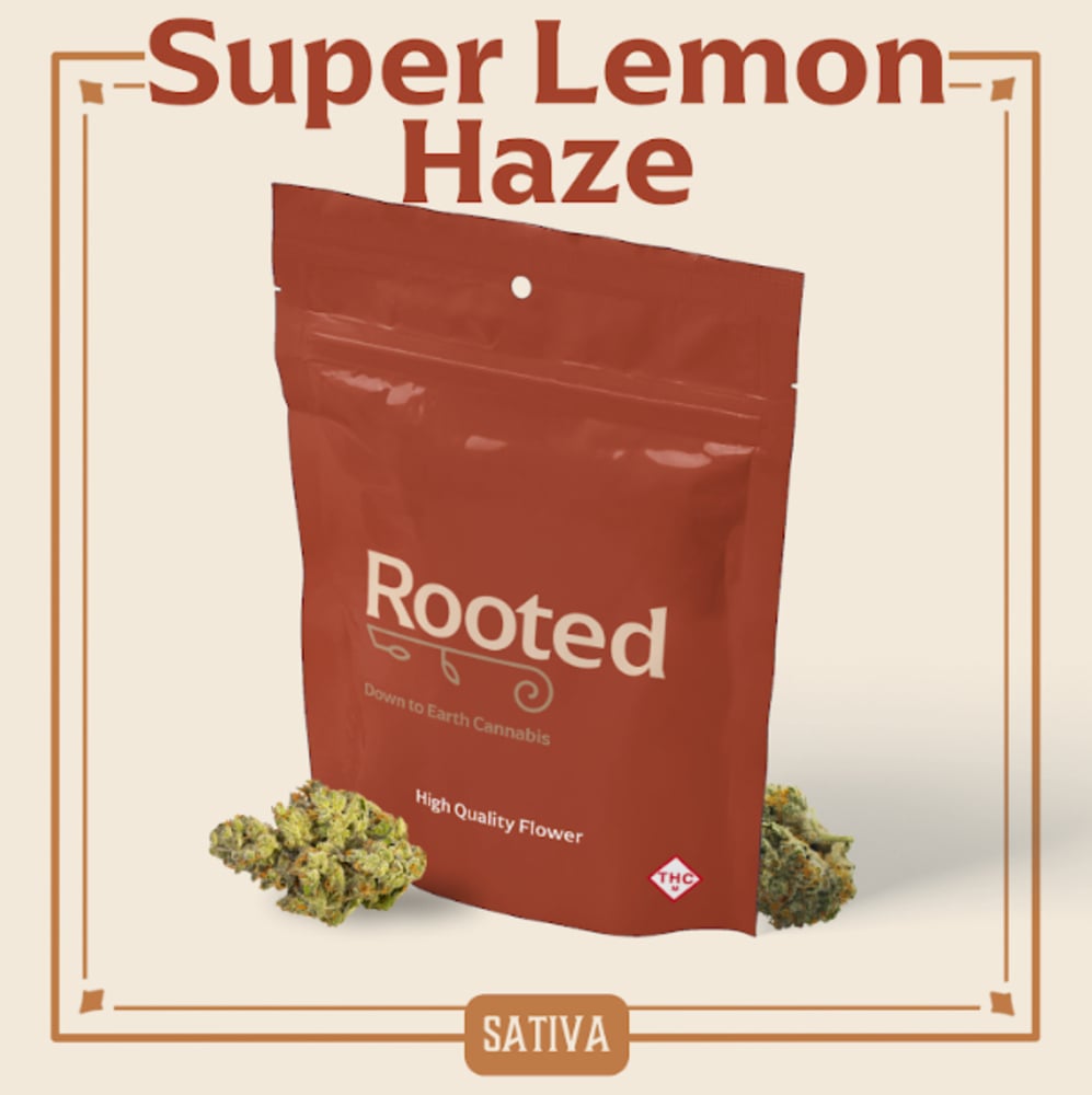 c3a4a5c5-9649-4a36-8f31-