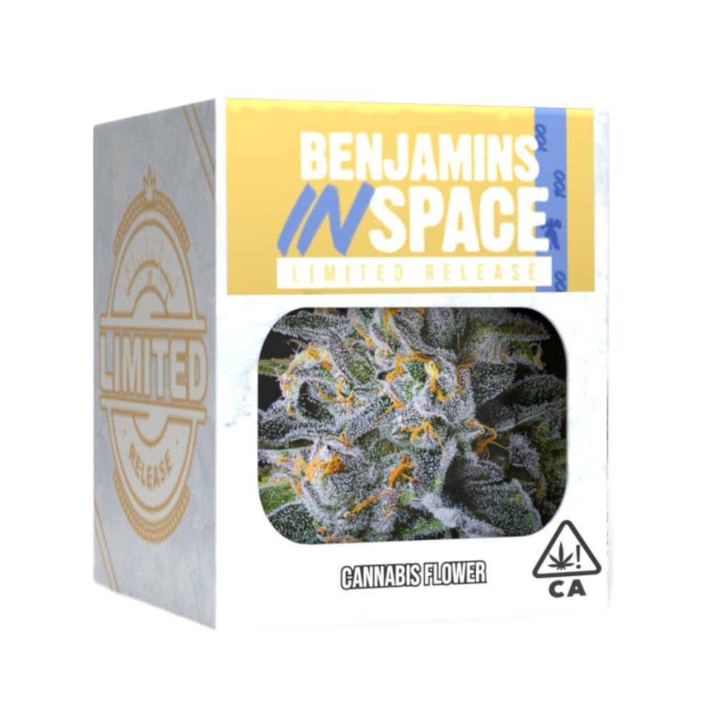 Decibel Gardens — Benjamins In Space