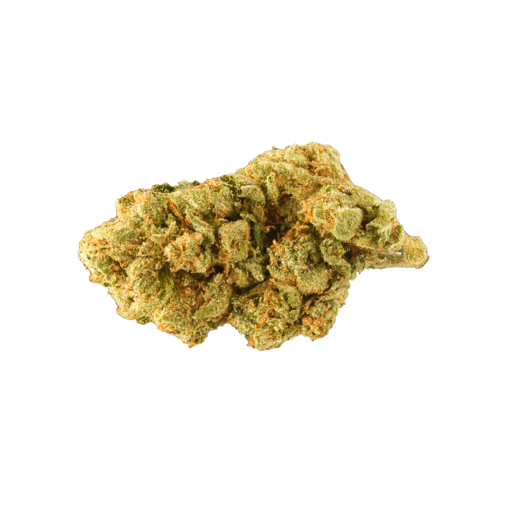 AK 47 Jane