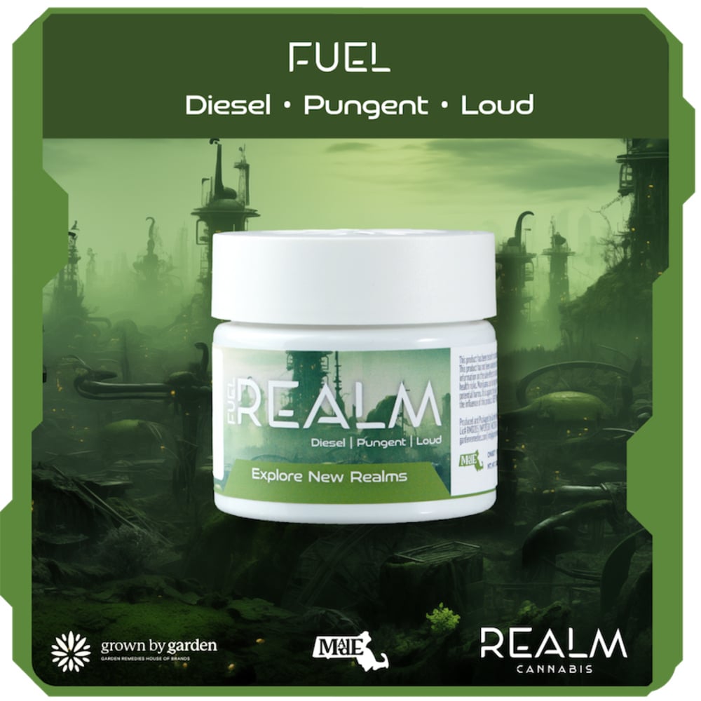 Realm - Fat Cat Top Cut Flower