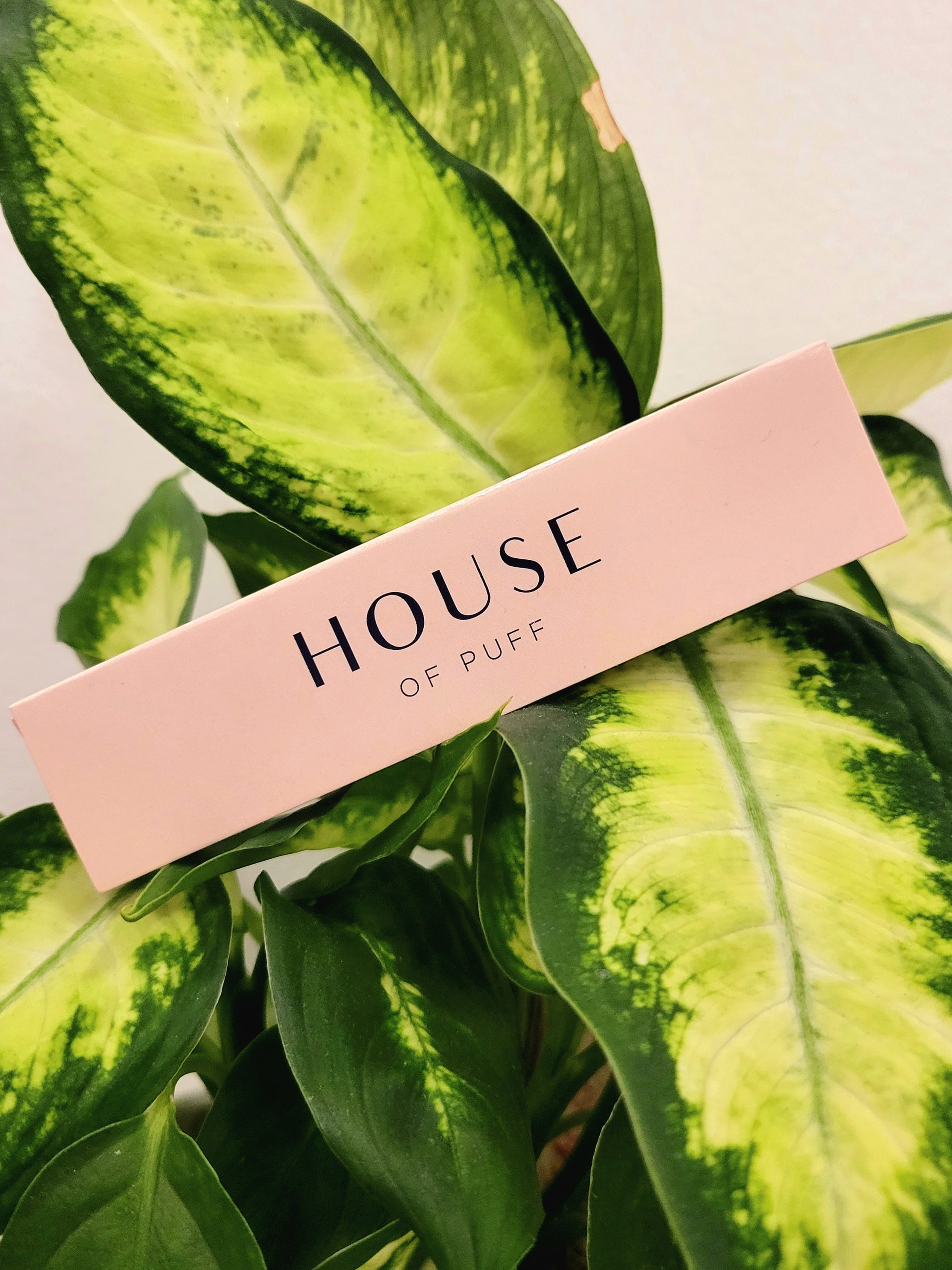 Rolling Papers:Signature Rolling Papers