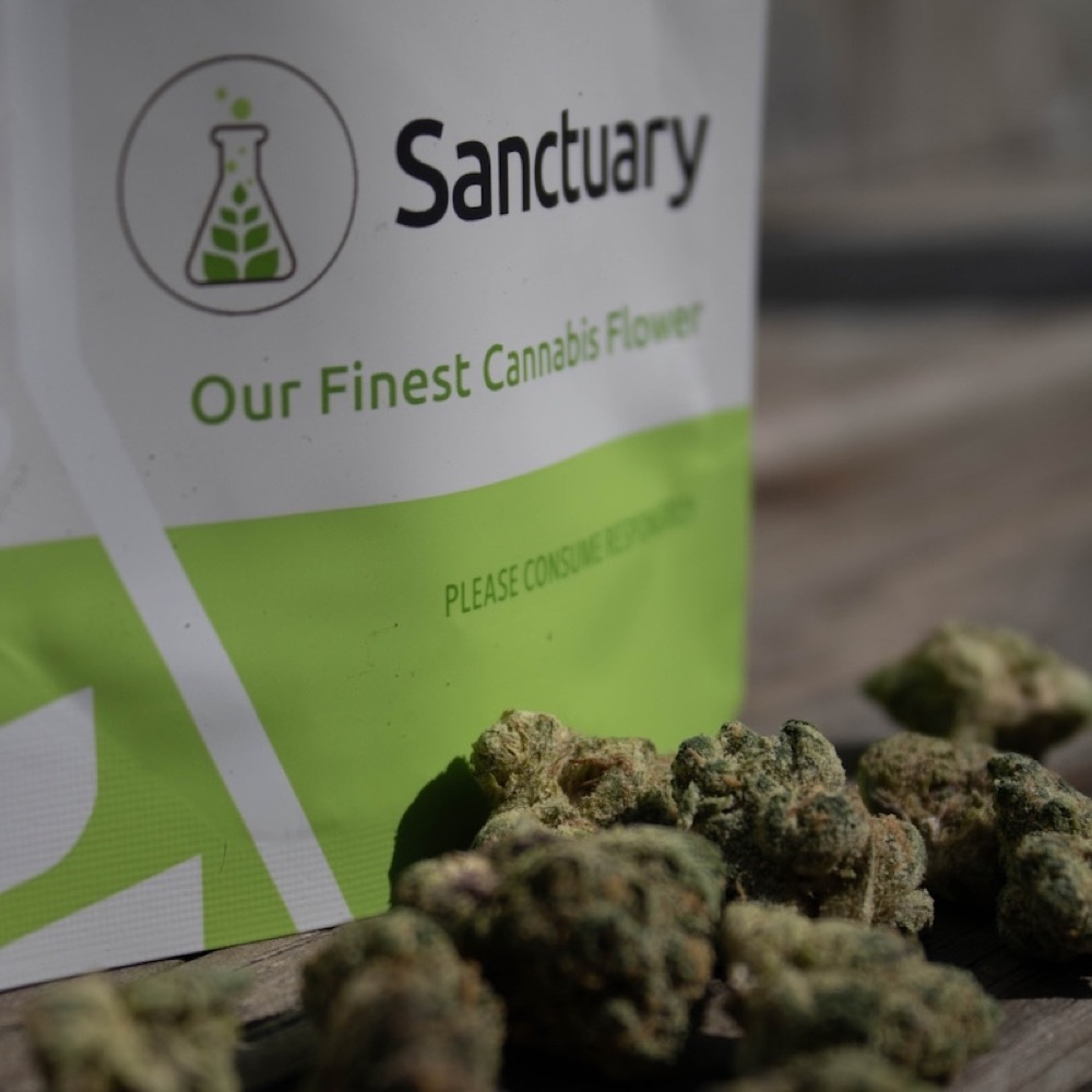 Sanctuary - Randy's Candy Flower