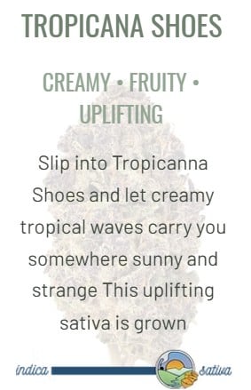 Shop Tropicana Shoes | Haze Dispensary - Almaden Rd San Jose, CA