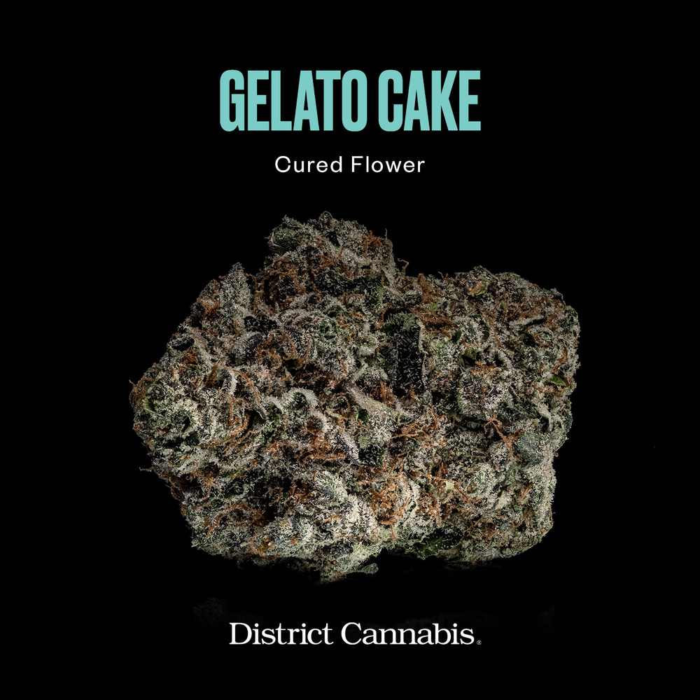 Gelato Cake - 1oz in Glen Burnie