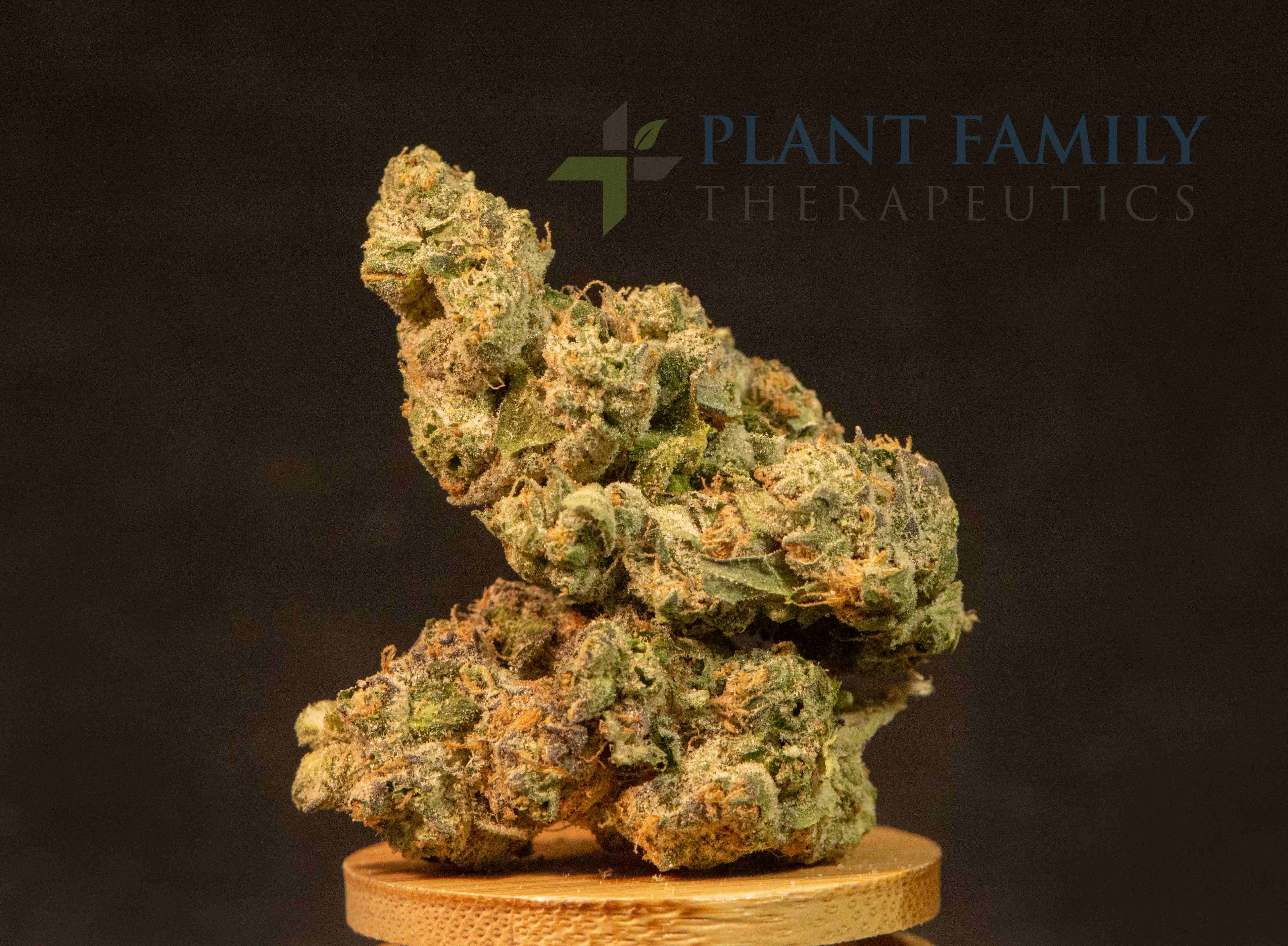Shop Zapplezz | Plant Family Therapeutics Dispensary Mountain Home, AR