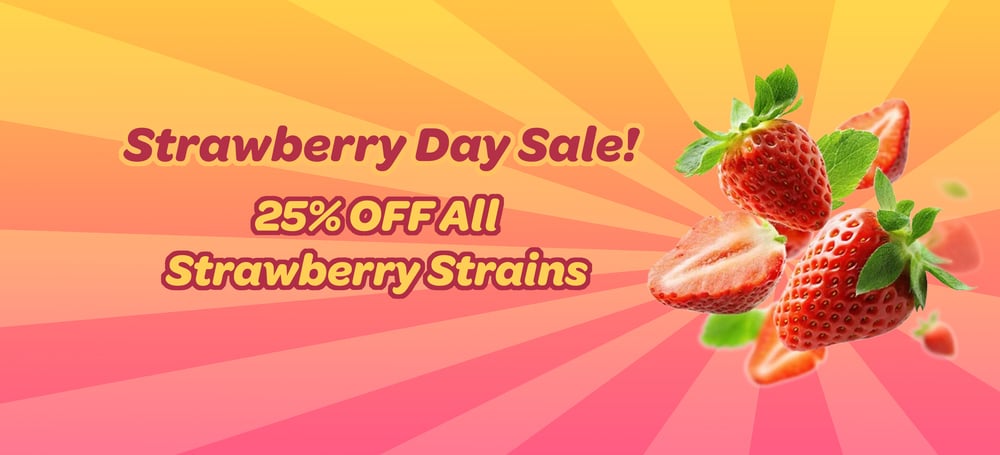 25% OFF Strawberry Strains special