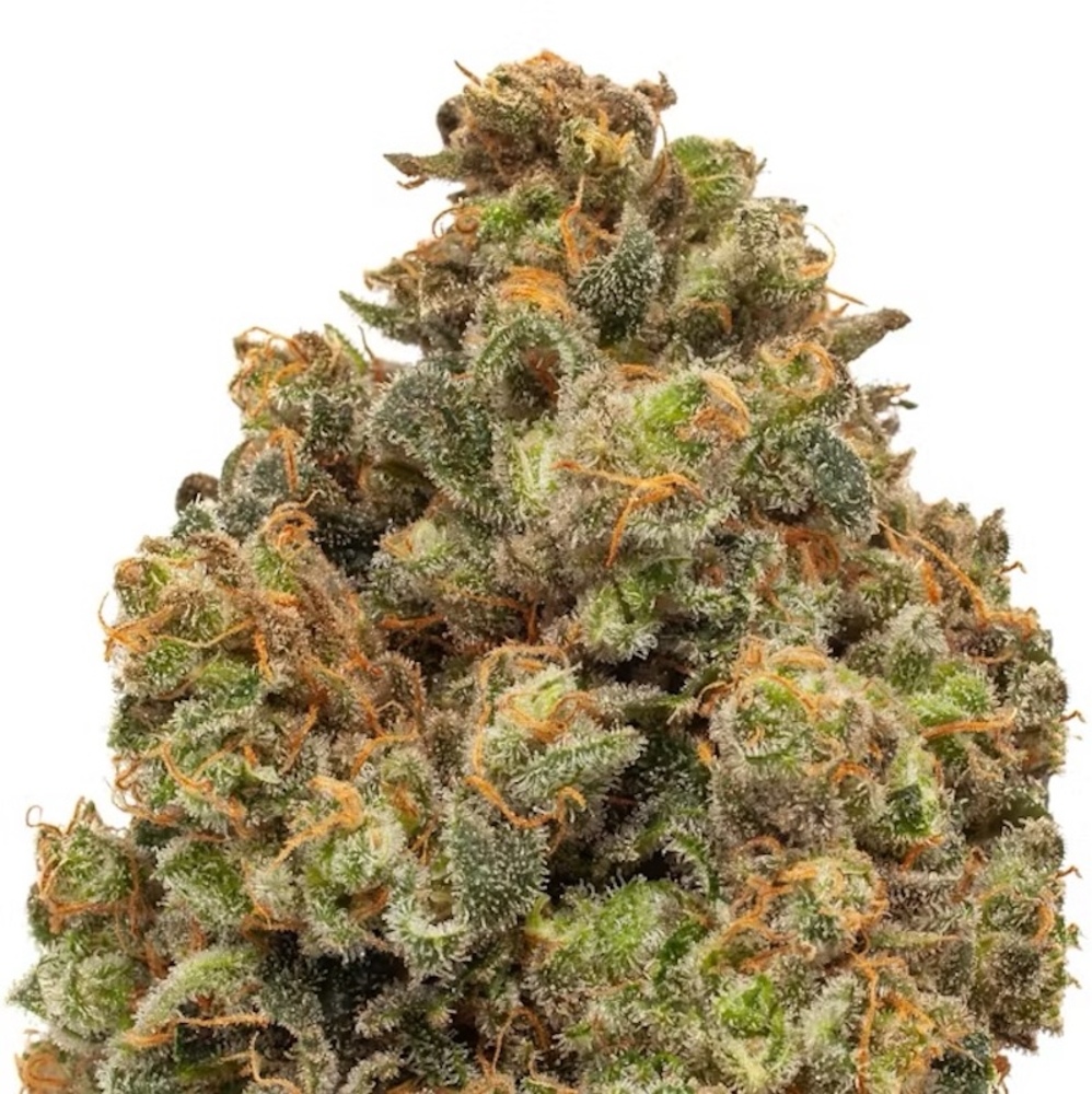 Resinate - Pineapple Haze Flower