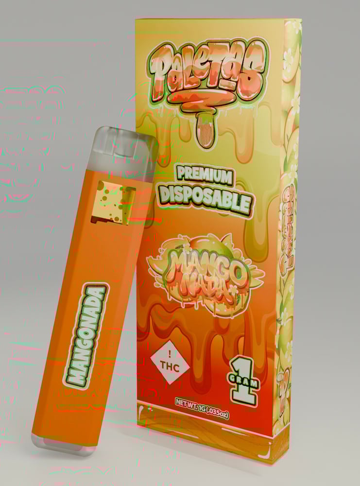 Paleta AIO Mangonada (I) 1g
