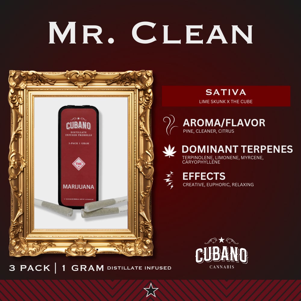 Mr. Clean [1g]