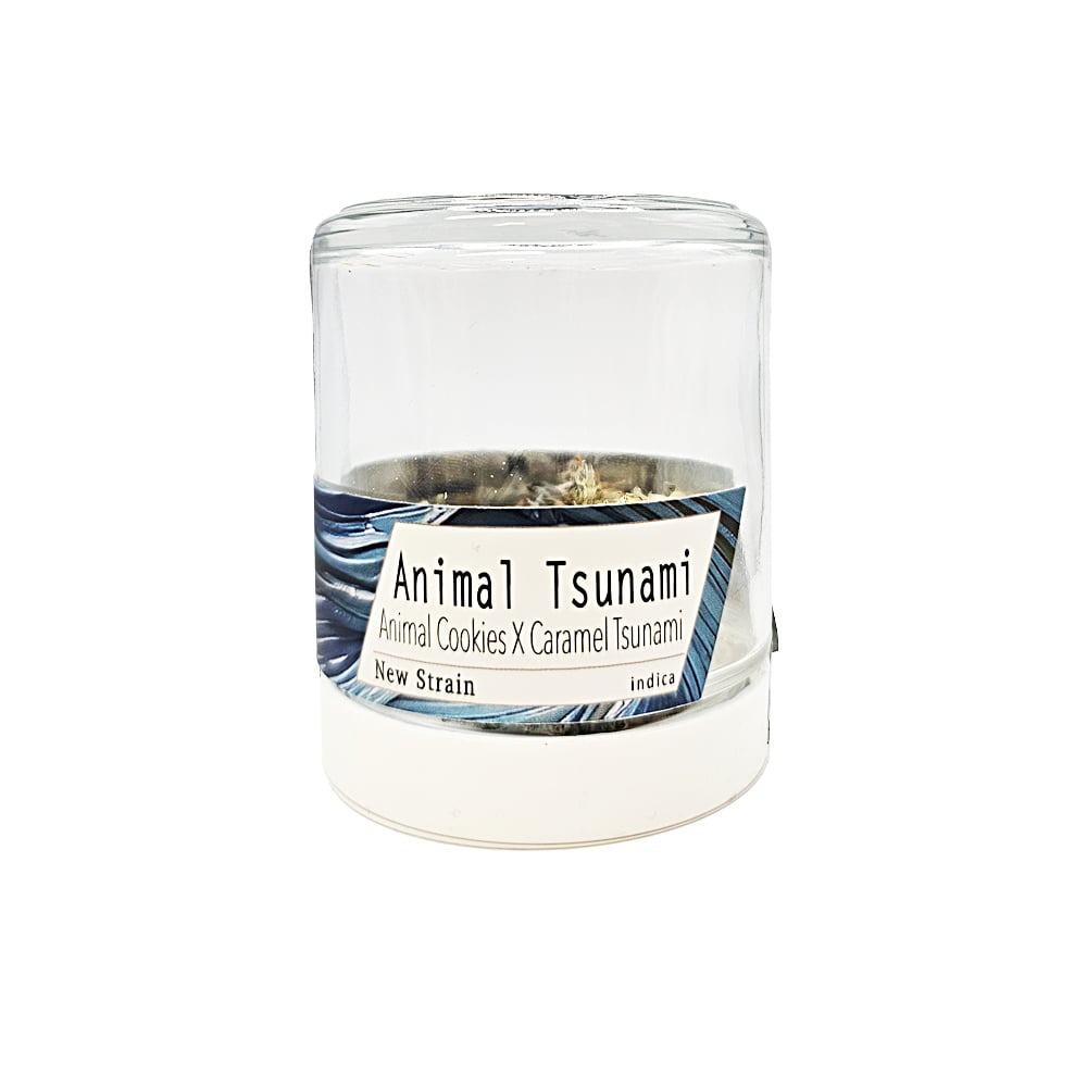 Shop Animal Tsunami | Dockside Cannabis - SODO Dispensary Seattle, WA