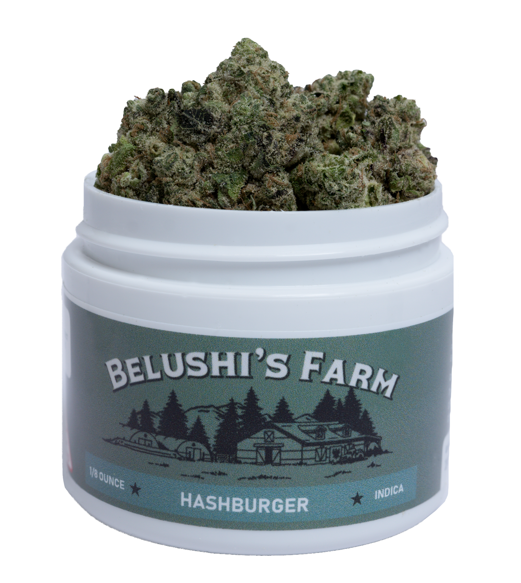Hashburger