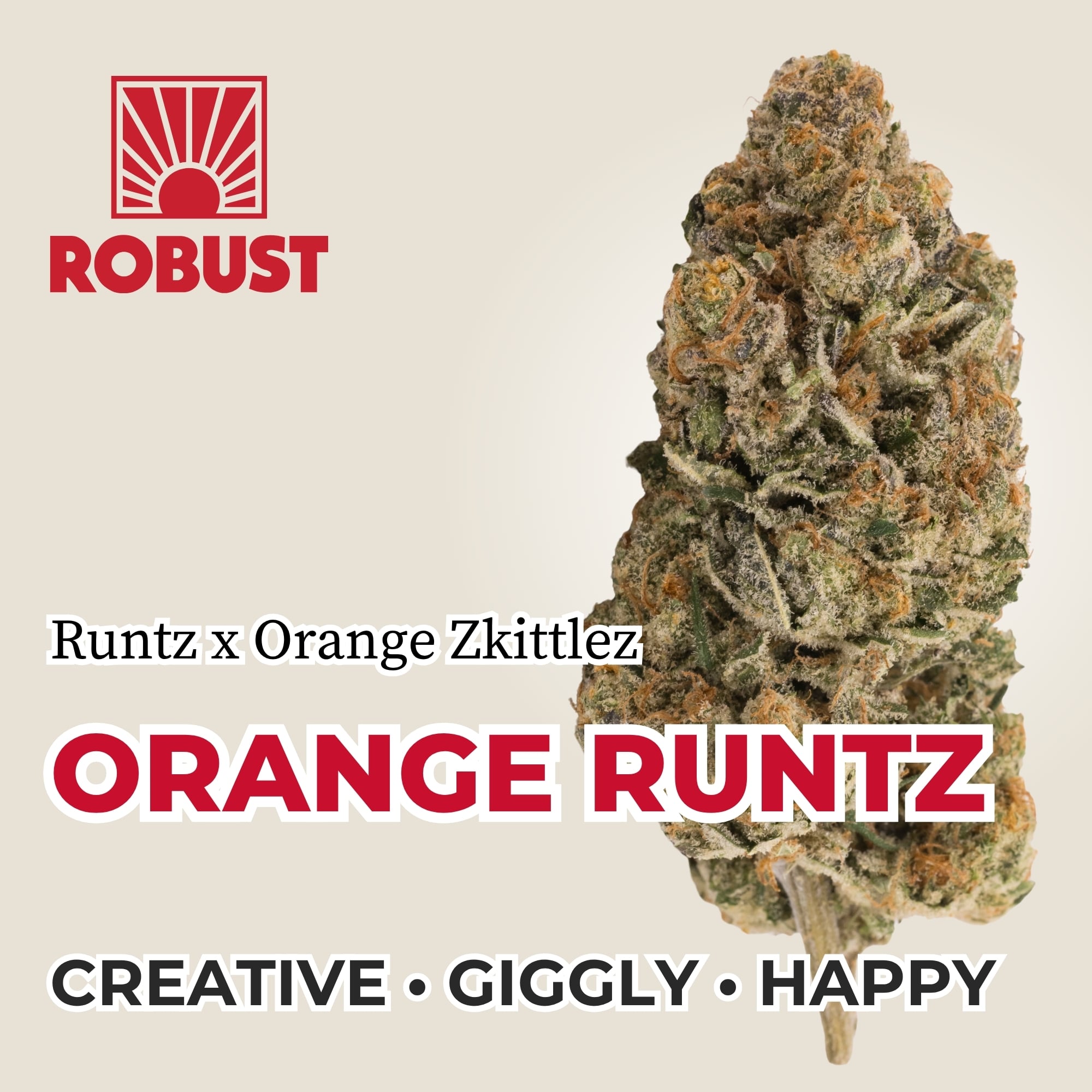 Shop Orange Runtz | Cassville Dispensary (Rec) Cassville, MO