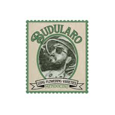 Budularo — Bandaid Haze