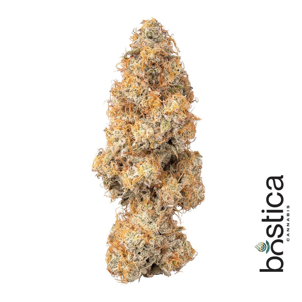 Bostica - Scotch & Soda Flower