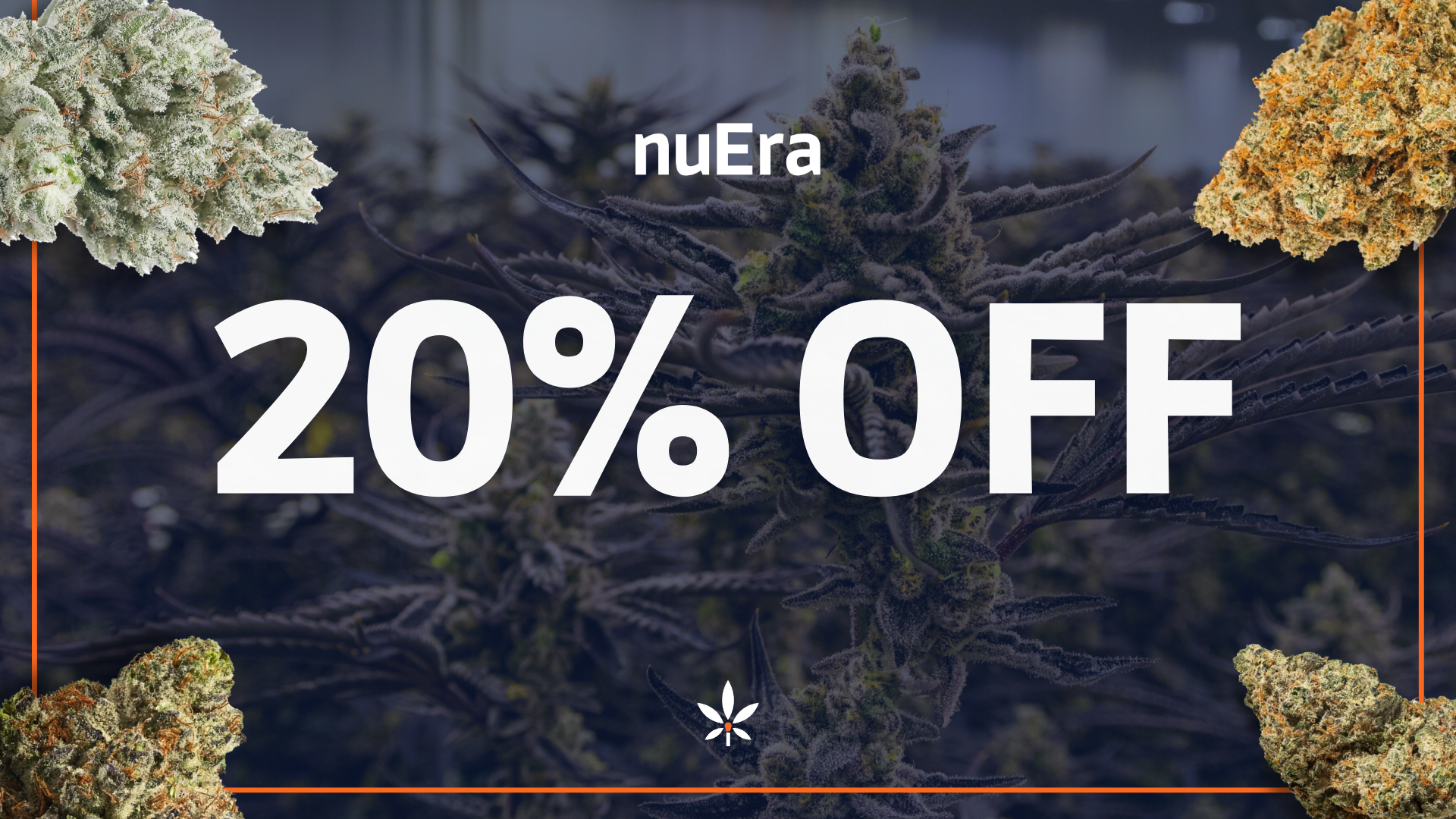 🔥Champaign 20% Off Fire Deals🔥 special photo