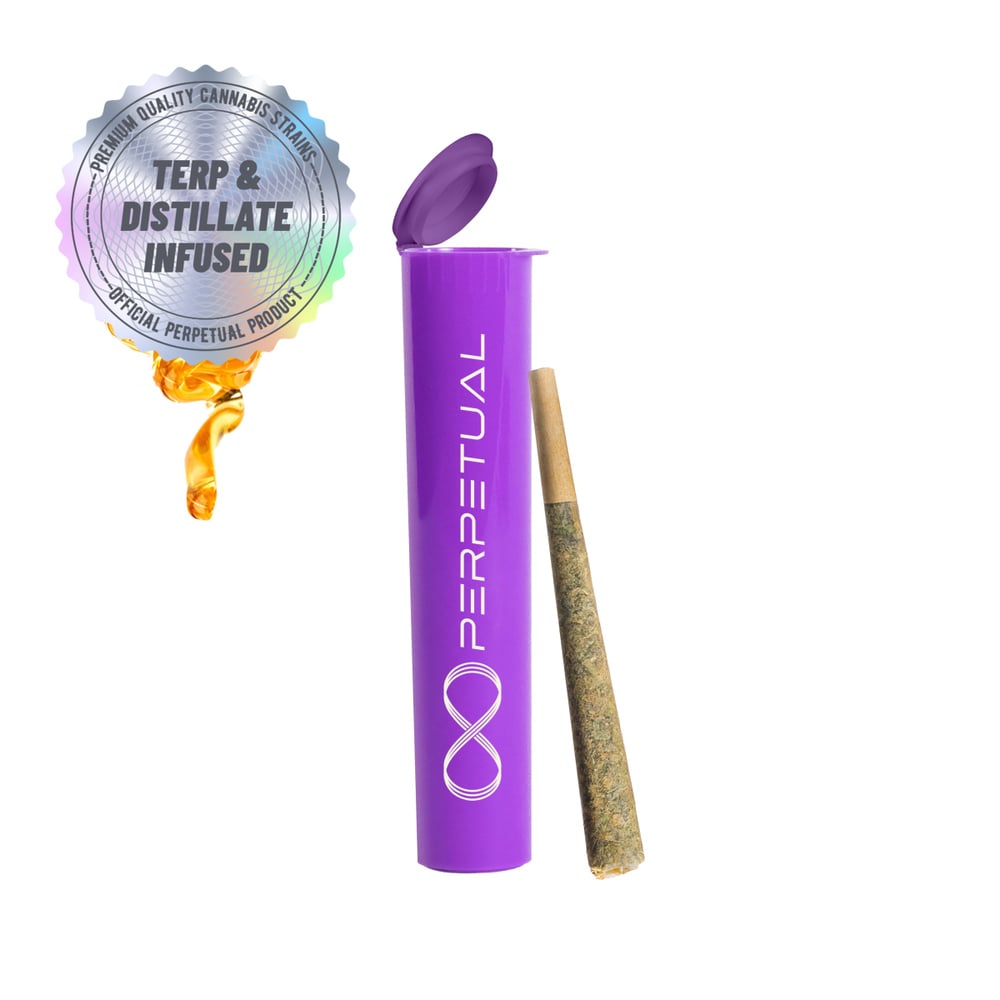 Perpetual - Blueberries Infused Pre-Roll (1g)