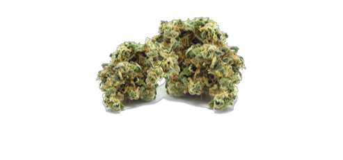 Waterfall Wednesday* special photo