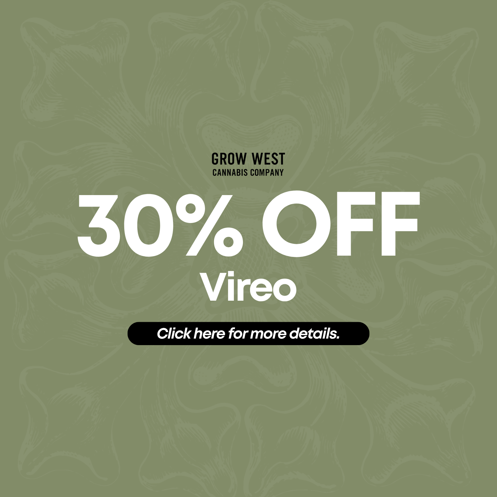 30% Off Old Pal special