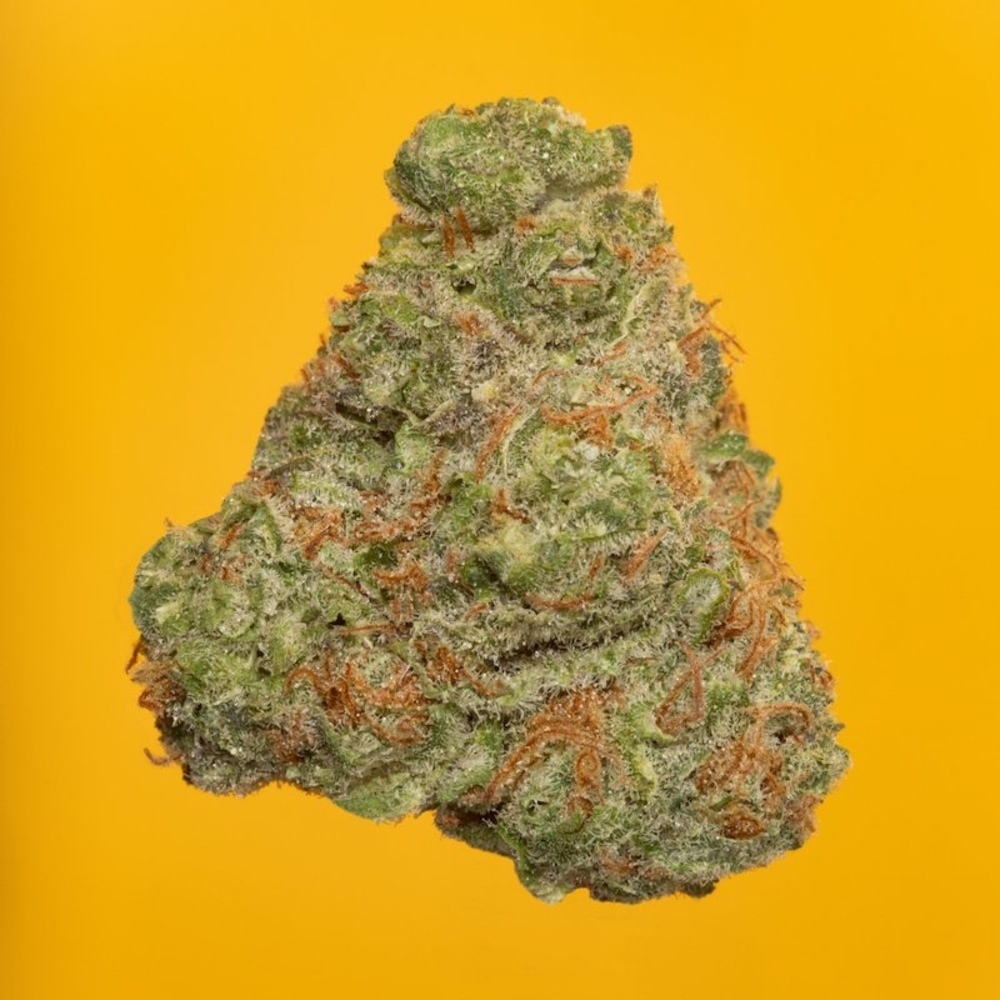 Shop Sweet Sweet T14.46 22565 (Theraplant) | Fine Fettle - Smyrna