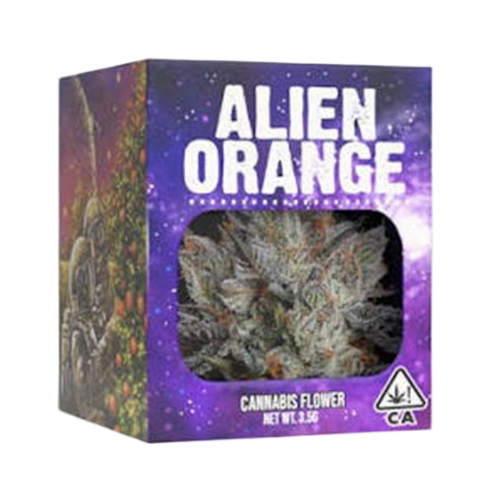 Decibel Gardens Alien Orange