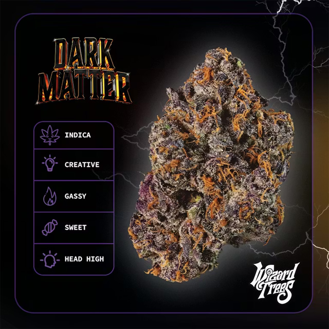Dark Matter