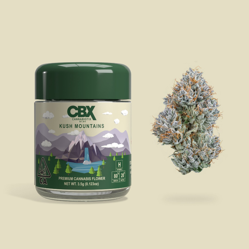 Kush Mountains
