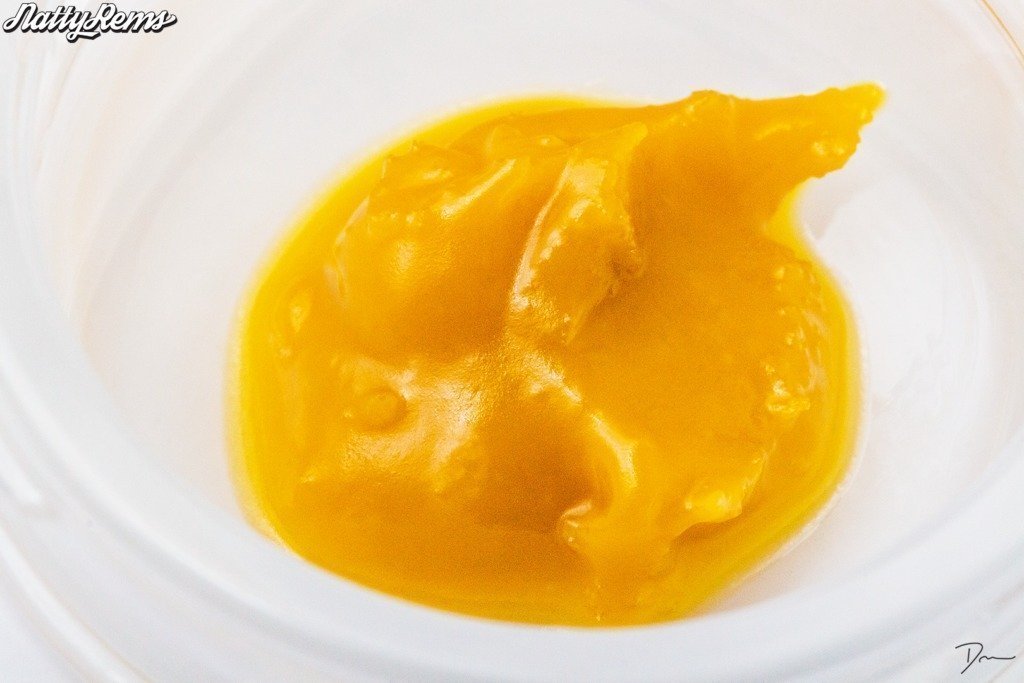 Golden Goat [2g] | Natty Rems | Live Budder - Jane