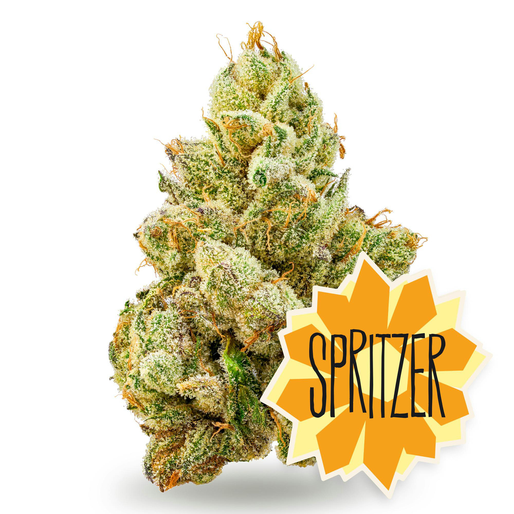 Spritzer