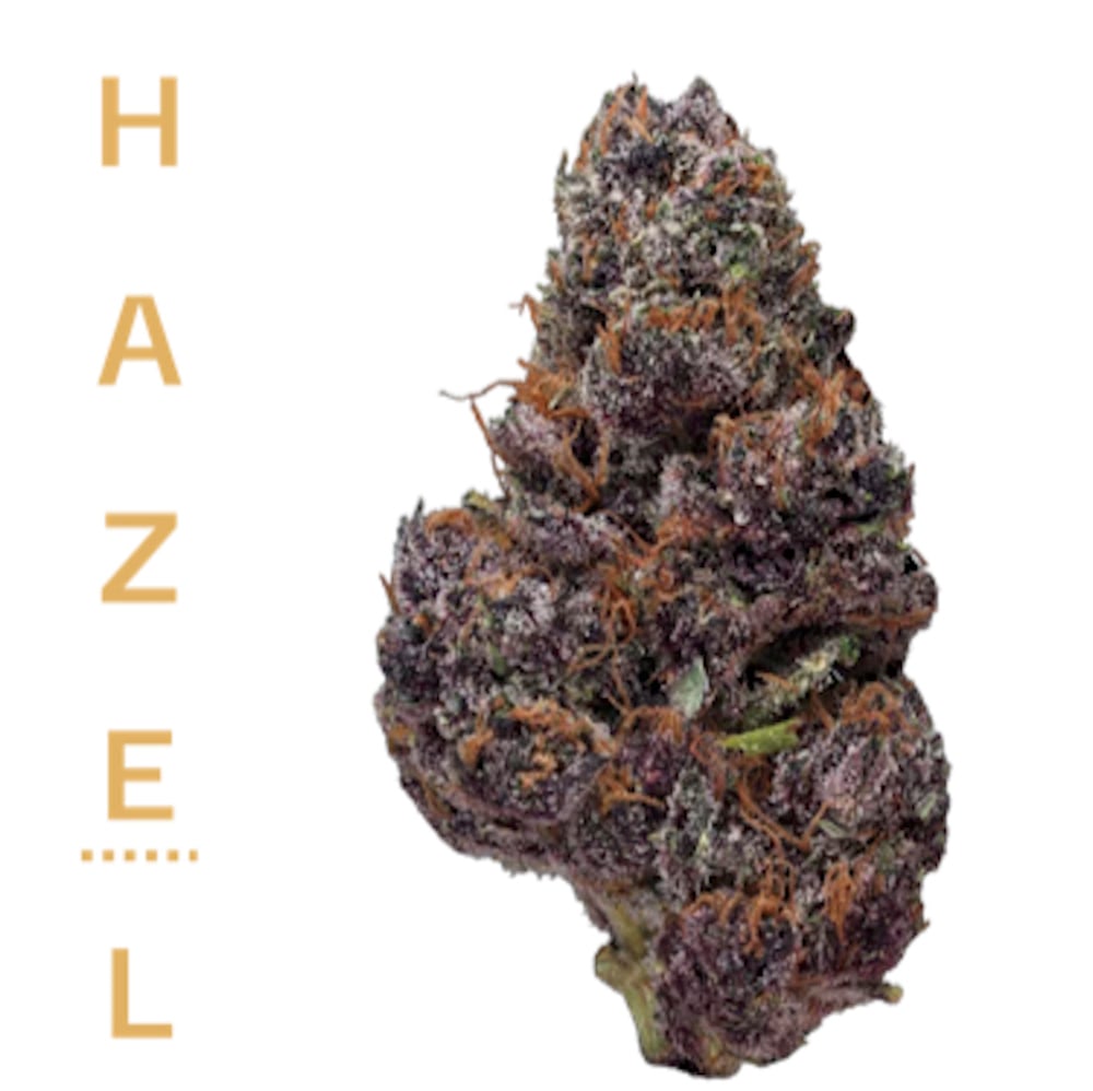 Hazel - Mochi Flower