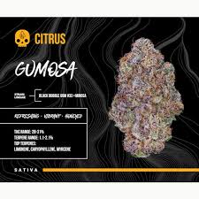 Gumosa