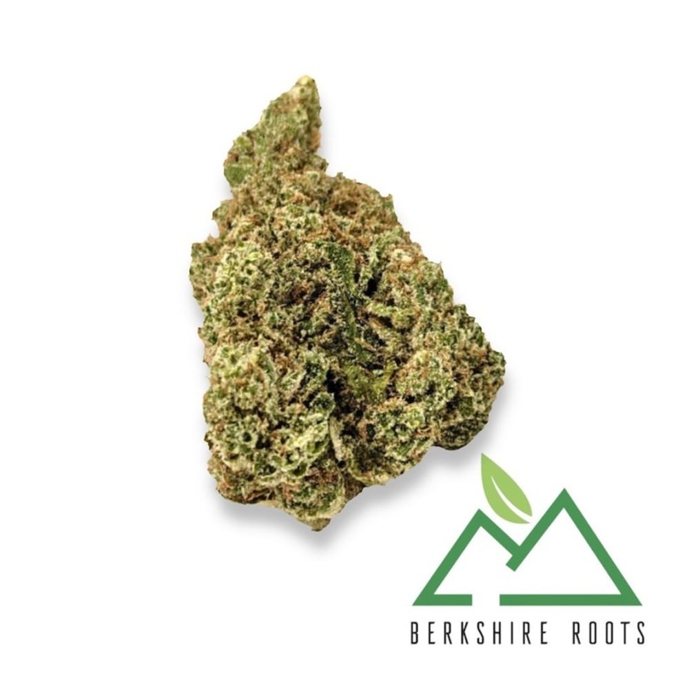 Berkshire Roots - Snowdog Flower