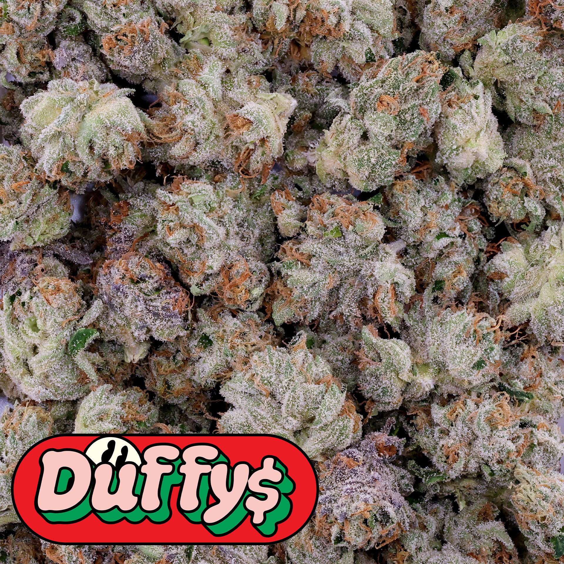 BOGO Fig Farm Smalls (Duffy$) special photo