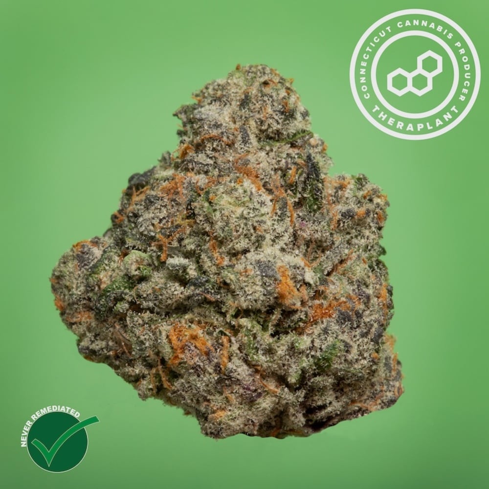 Theraplant - Gas Face (H) Flower  C0040000893