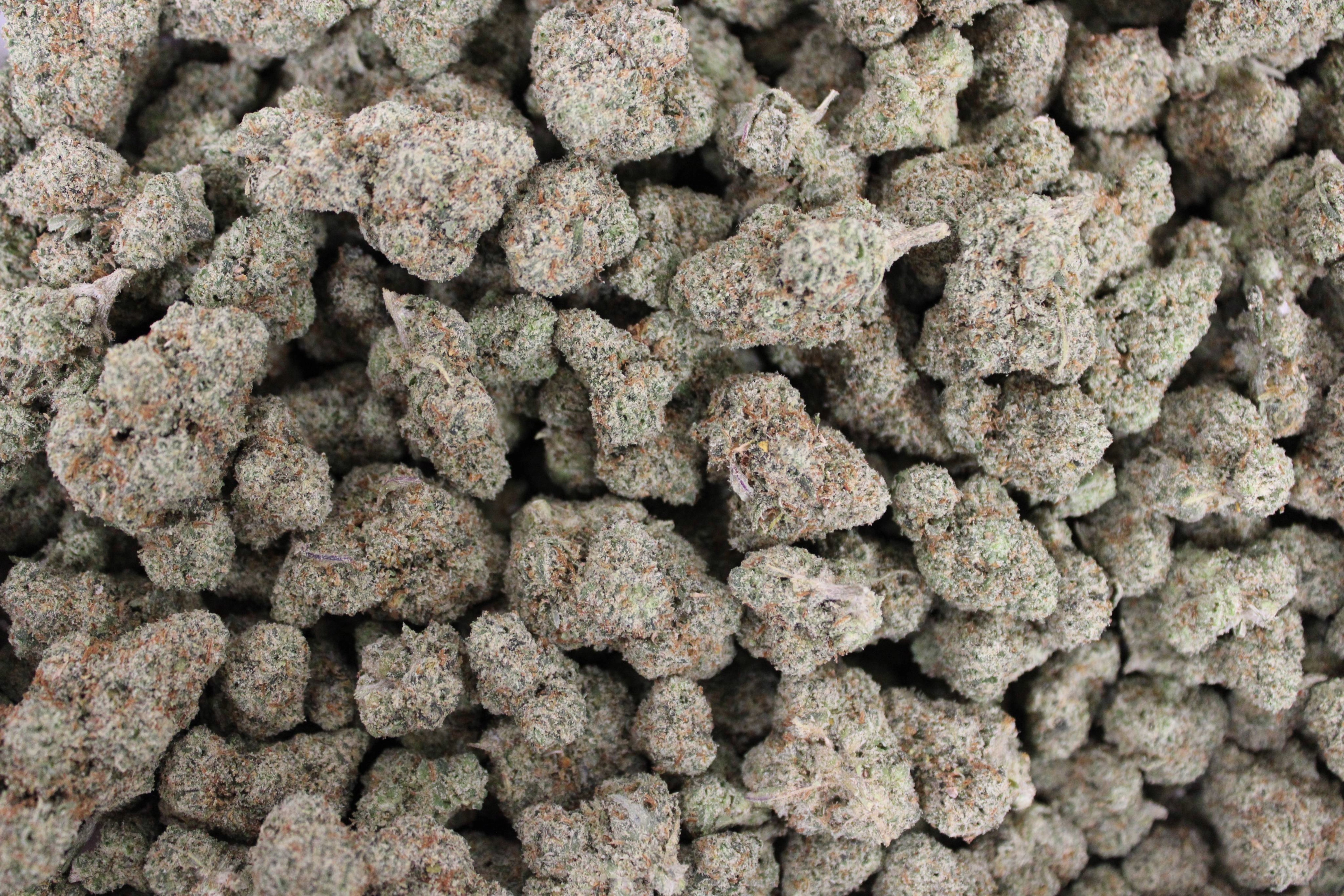 Kind Care - Jack Herer - Bulk Flower - Sativa