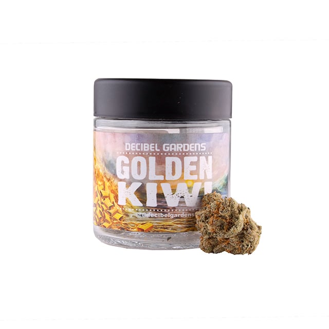 Golden Kiwi